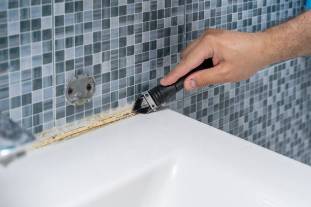 Best Mold Remediation for Specific Building Types in Yulee, FL
